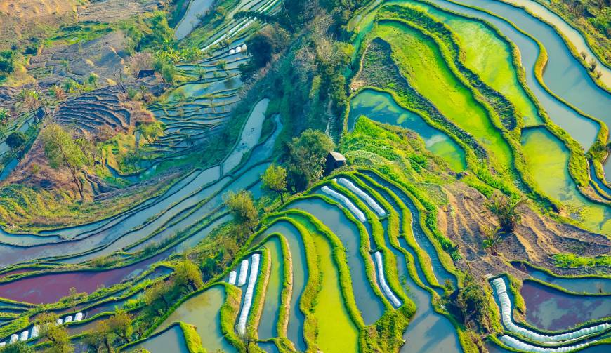 宝妈必备神器：达尔罕茂明安联合旗产品视频拍摄轻松育儿好帮手