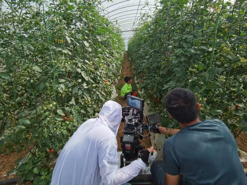 达尔罕茂明安联合旗产品宣传视频拍摄公司进阶指南，助力品牌抢占传播高地